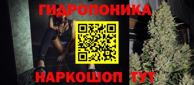 СК Краснодар