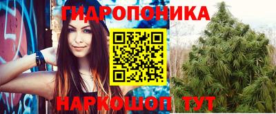 СК Краснодар
