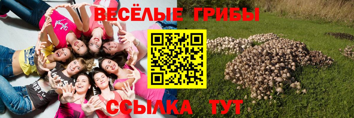 Псилоцибиновые грибы Magic Shrooms Кольчугино