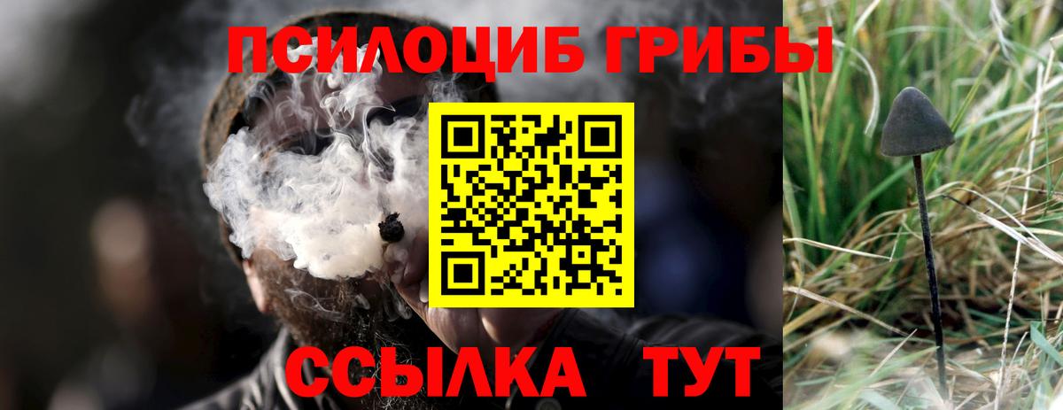 Кольчугино  Псилоцибиновые грибы мухоморы  Галлюциногенные грибы Psilocybine cubensis  Вход с VPN 